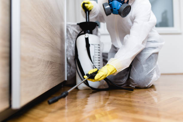 Best Best Pest Control Companies  in Sand Lake, MI