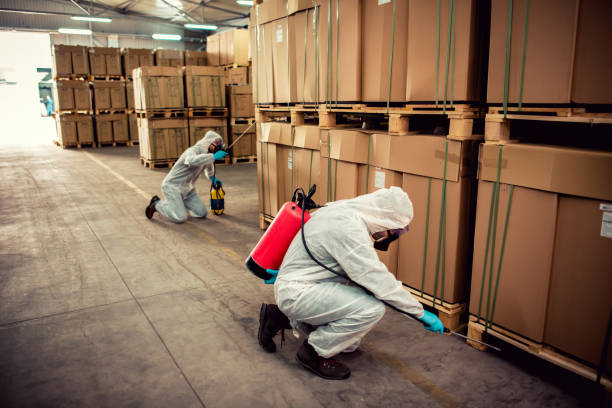 Best Pest Removal Services  in Sand Lake, MI