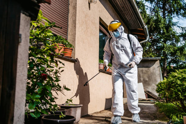 Best Commercial Pest Control Services  in Sand Lake, MI