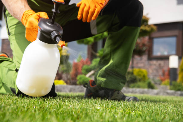Best Ant Control Services  in Sand Lake, MI