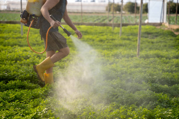 Trusted Sand Lake, MI Pest Control Experts