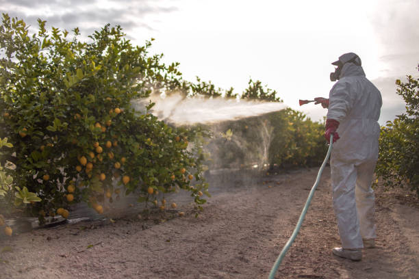 Best Exterminator Services  in Sand Lake, MI