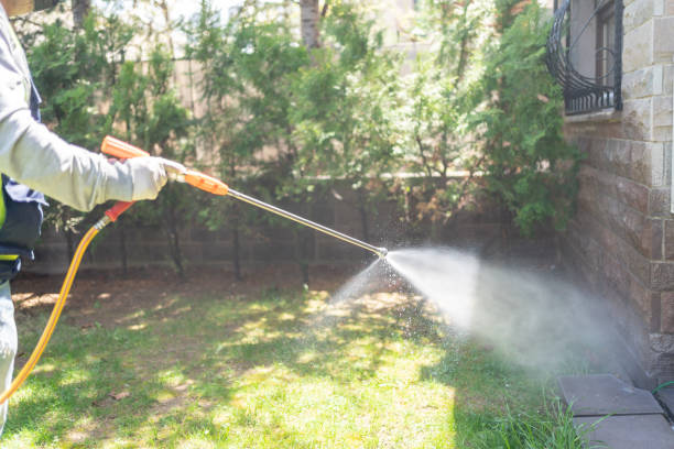 Best Insect Control  in Sand Lake, MI