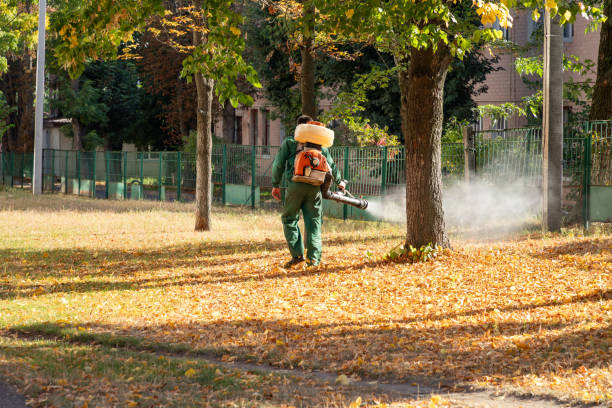 Pest Control Cost in Sand Lake, MI