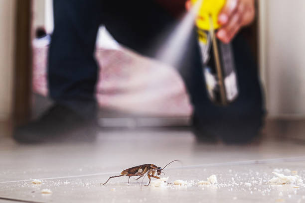 Best Best Pest Control Companies  in Sand Lake, MI