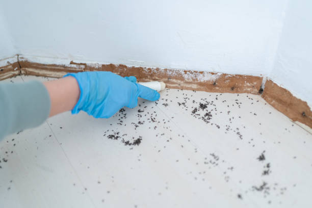 Best Pest Prevention Services  in Sand Lake, MI