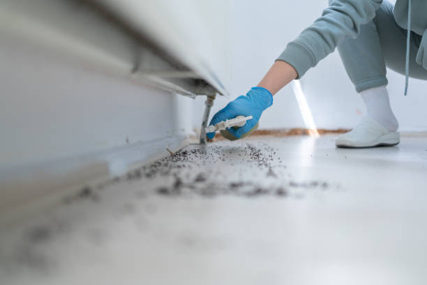 Best Affordable Pest Control Services  in Sand Lake, MI